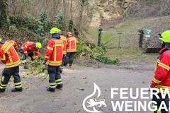 Einsatz 008