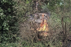 Einsatz 45 / 2025