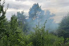 Einsatz 45 / 2025