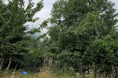 Einsatz 45 / 2025