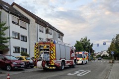 Einsatz 53 / 2025