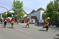 Weingartner Lebenslauf 2025