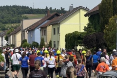Weingartner Lebenslauf 2025