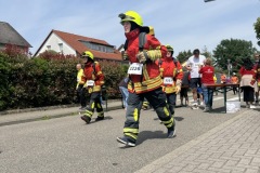 Weingartner Lebenslauf 2025