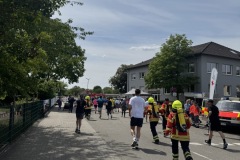 Weingartner Lebenslauf 2025
