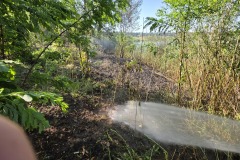 Einsatz 57 / 2026