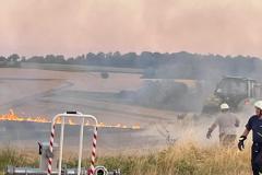 IMG-20260711-WA0017