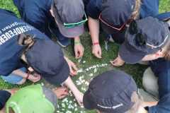 Wir