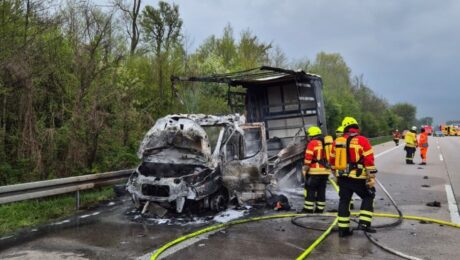 Einsatz 38 / 2026