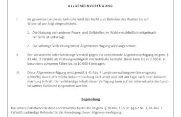 https://www.landkreis-karlsruhe.de/PDF/Allgemeinverf%C3%BCgung_zur_Sperrung_der_Grillstellen_in_den_W%C3%A4ldern_im_Landkreis_Karlsruhe_infolge_akuter_Waldbrandgefahr_28_07_2026_.PDF?ObjSvrID=3051&ObjID=10523&ObjLa=1&Ext=PDF&WTR=1&_ts=1785244800